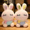 Elastic squinting rabbit