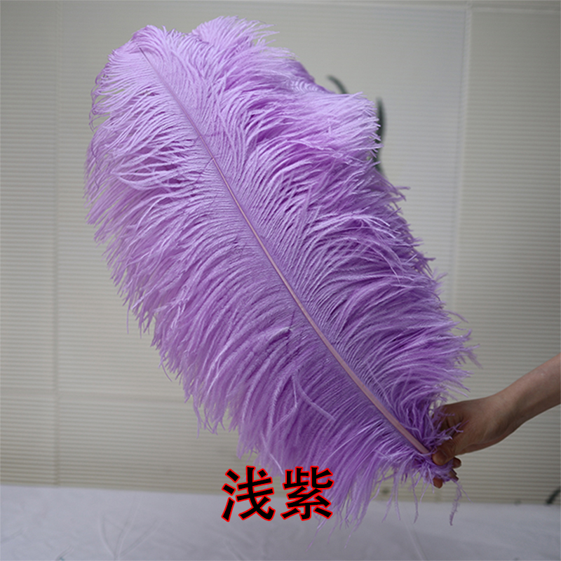 Plumas de avestruz bodas blancas de avestruz guía de plumas accesorios de fotos adornos rojo rosado en línea grandes plumas decoración