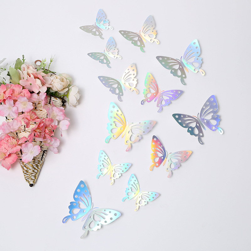 La mariposa B muestra 12 colores