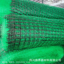 ���Sֲ���W�����W�ӵ�߅�¾G�������W�|�ӽ����ˉ|����ϯ�|���S�W