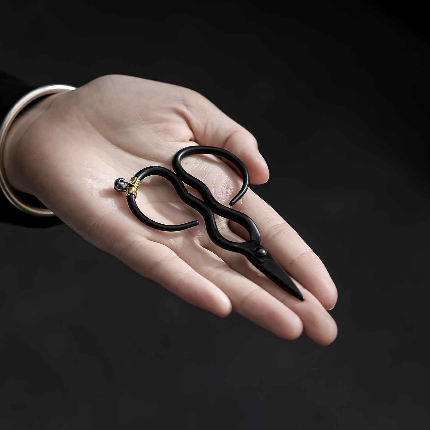 Black scissors