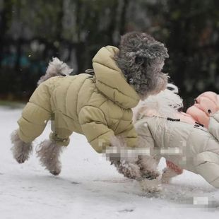 �n��̩���F�eС��Ȯ���ﹷ�������·����_�¼Ӻ���q�޷���ů����