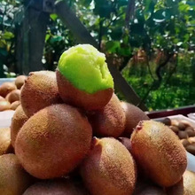 �G�īJ����5��10�����rˮ���������������l�Լҹ��@�Fժ�F�l