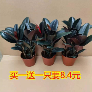 ��Ƥ��ڽ������Ժ��B�Gֲ�͏d�����՚��̨�k���҃ȳ���ֲ��