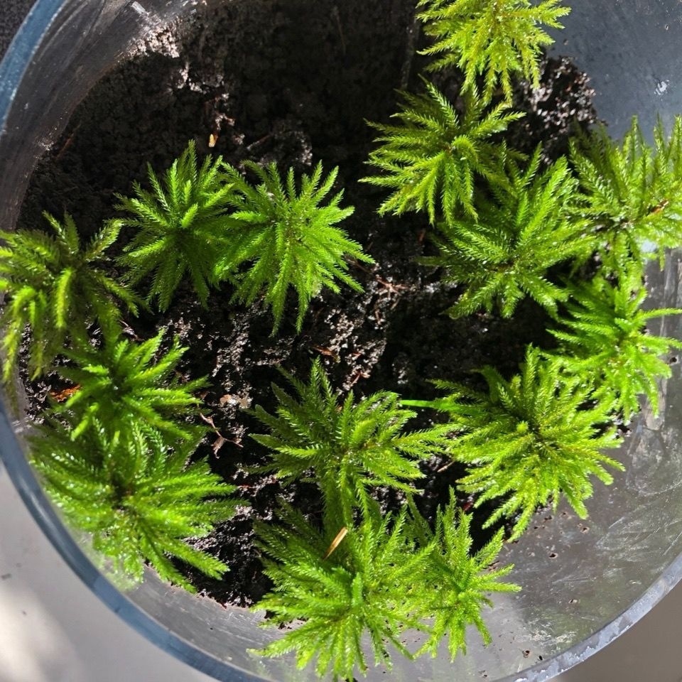 b54a6462-a452-4269-a39f-4c3a0f91ff1c.jpe