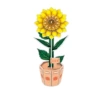1690-84 Sunflower