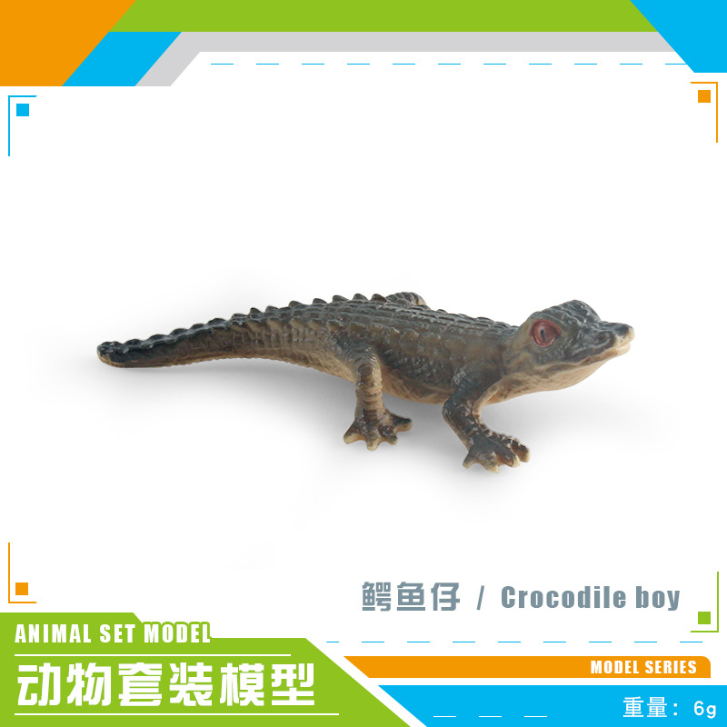 Cocodrilo PL127-1802 6G