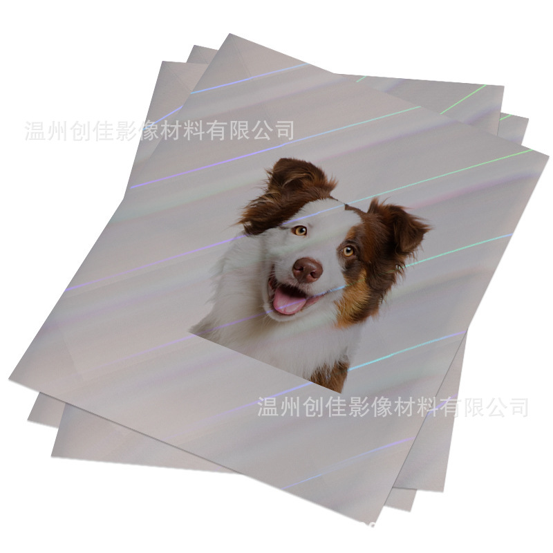 O1CN012bazn92L2QRnRgjHP_!!2341