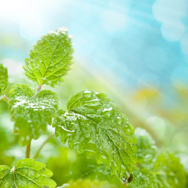 �����㾫�������㾫������㾫��ˮ���㾫�������㾫