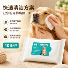 外贸跨境宠物用品宠物湿巾10抽狗狗猫咪专用湿巾一次性免洗清洁