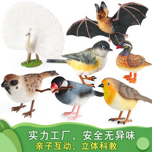 �����w�݄������ģ���r�B��ȸ�x��֪���B����ɽȸ����@����[��