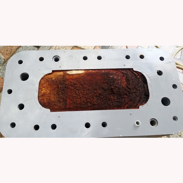 ����������IONPURE EDIģ��ά��CEDIĤ�� EDI����ˮ�豸ά��ά��