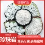 保温养花定制建筑珍珠岩