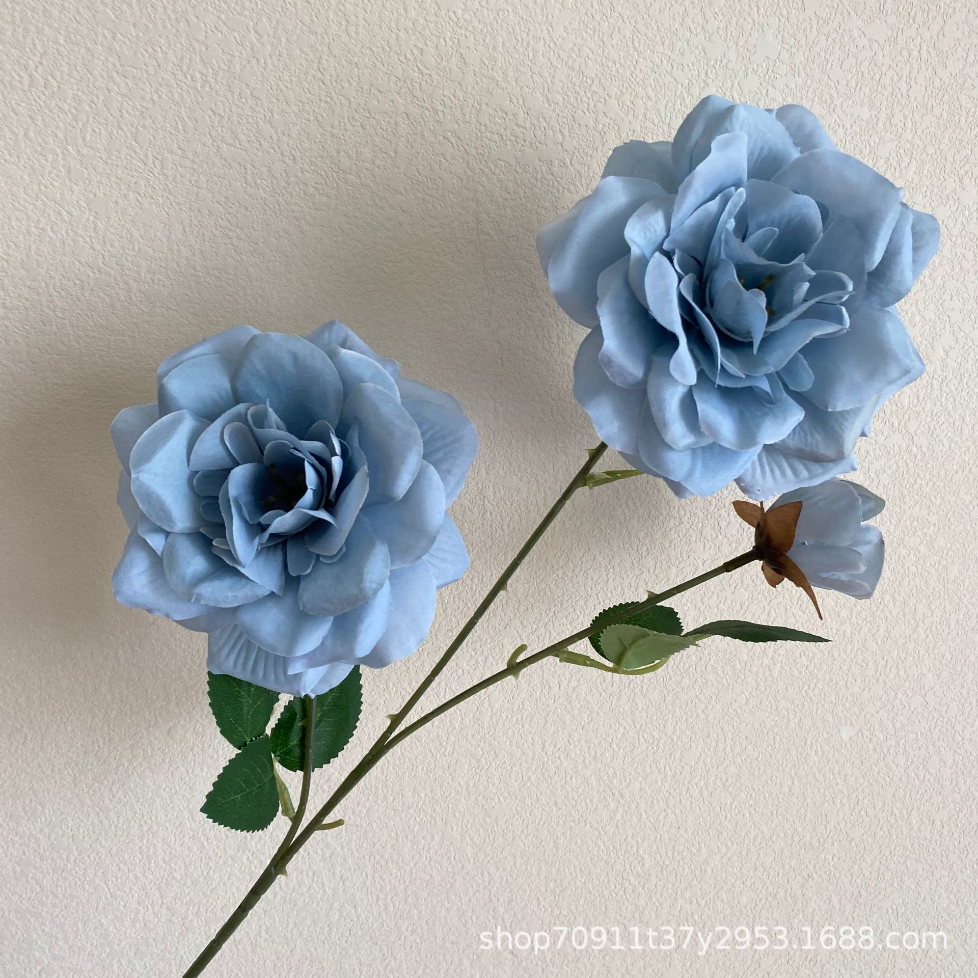 3마리 회청색