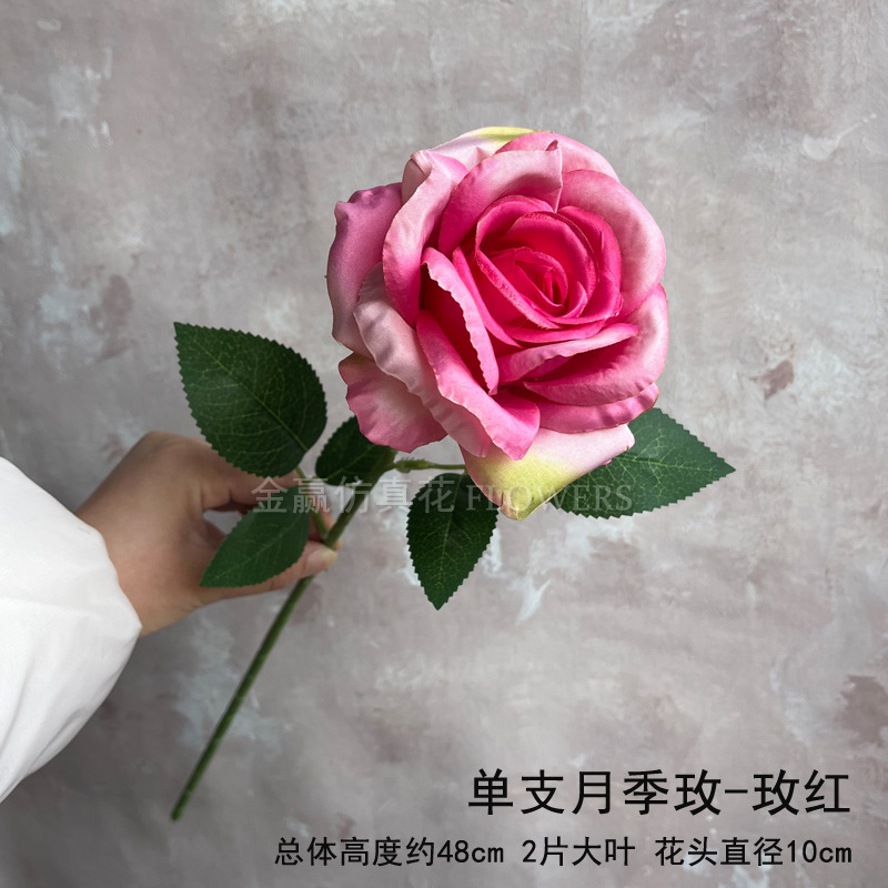 싱글 헤드 로즈