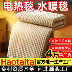 电热毯双人单人双控恒温家用学生宿舍电热毯真源头厂家