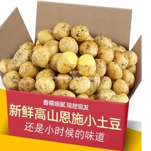�W�t��ʩ�S��С����ѽ���r�F��3/5/9�������R�������[��Ŵ����]