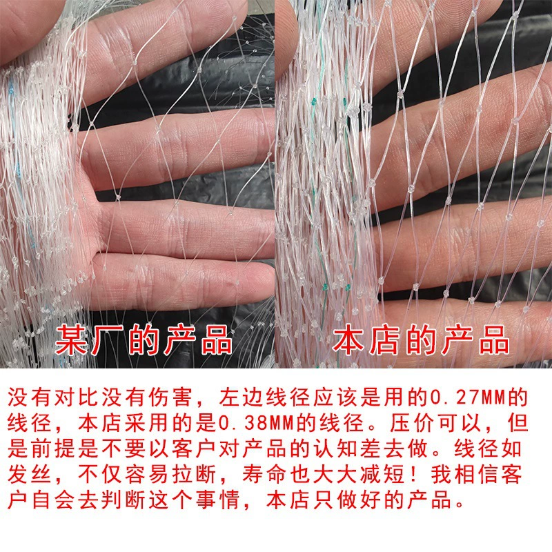 Небольшой дыркой в китайской торговой сети для защиты птиц от птиц