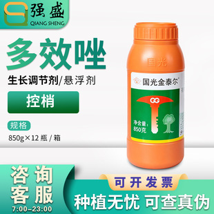 �����̩�� 30%��Ч��â���������Ұ����ش��ҷ��Y���L�{�������l
