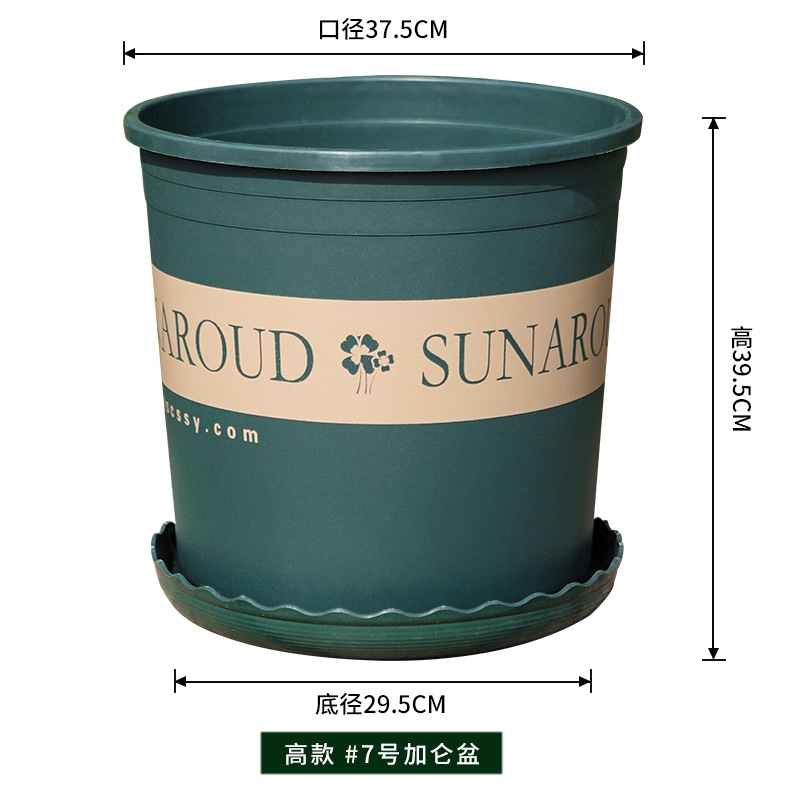 Root Control thickened high 7 gallon [caliber cm] Green / With tray