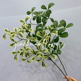 ��������ľ����Gֲ ��ˇ�쾰�������û�c�û� ֲ��廨���^��