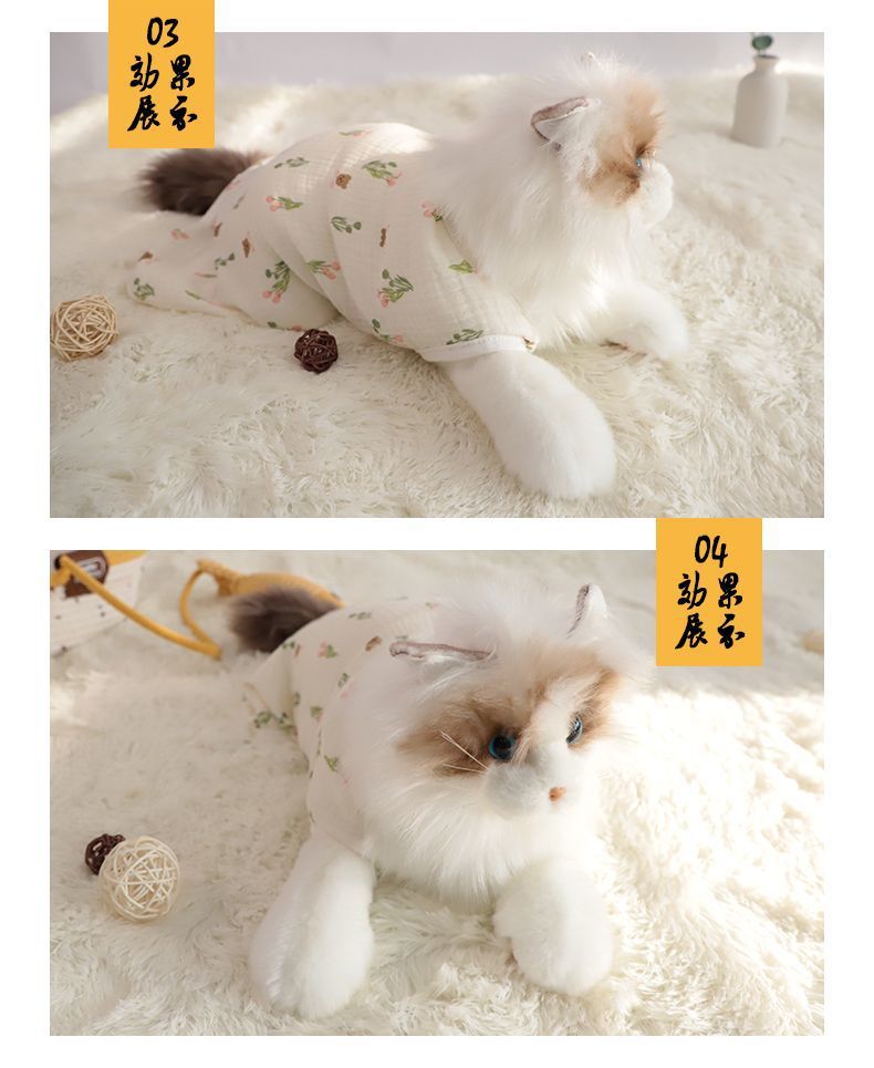 4d02113c-6f22-4117-8de9-893793f266d4.jpe