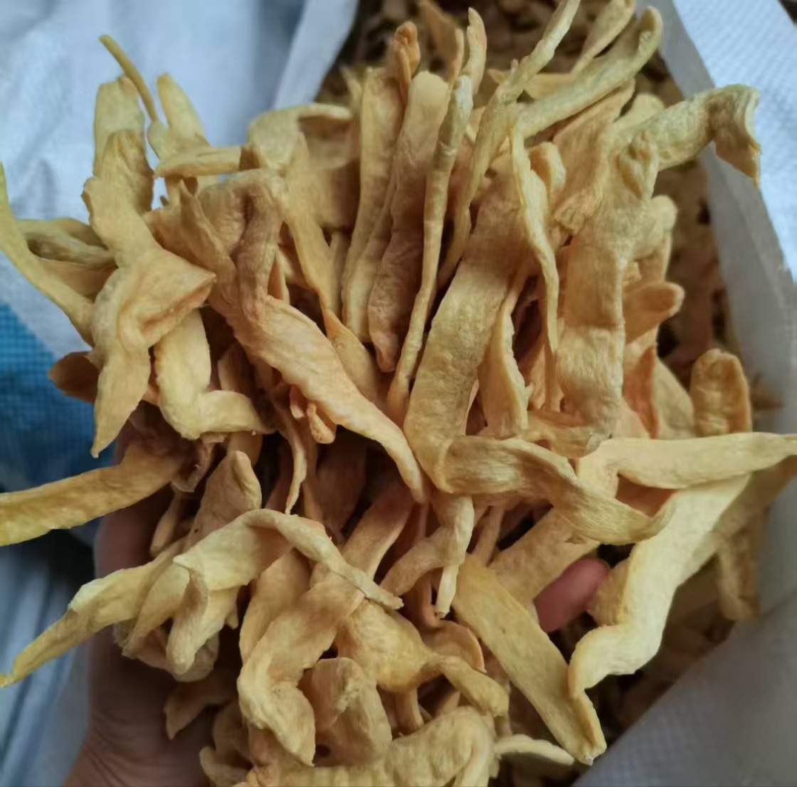 11ef668d7afbcedfd7a52f8f14c76c