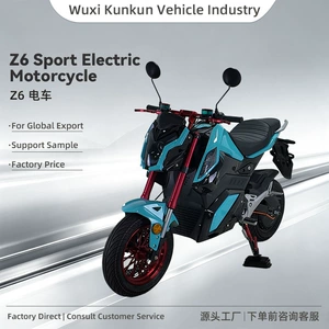 Z6 İki Təkərli Yüksək Güclü Off-Road Elektrikli Motosiklet