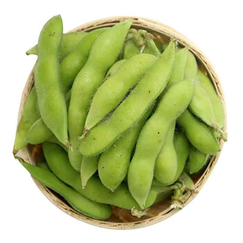 undefined6 fresh Edamame Base Straight hair wholesale Community Fresh keeping Deliver goodsundefined