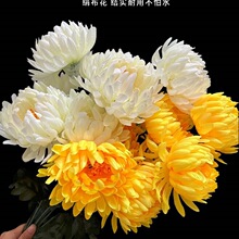 �¿��������ω���Ĺ��Ĺ��z�ռ��������@Ĺ�����[�žջ���