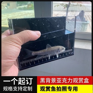 Box Photo Luya Measured the Scale Size of Black Wild Fish Pickling Acrylic Cylinder Observation and Observation of Background Transparent Cylinder