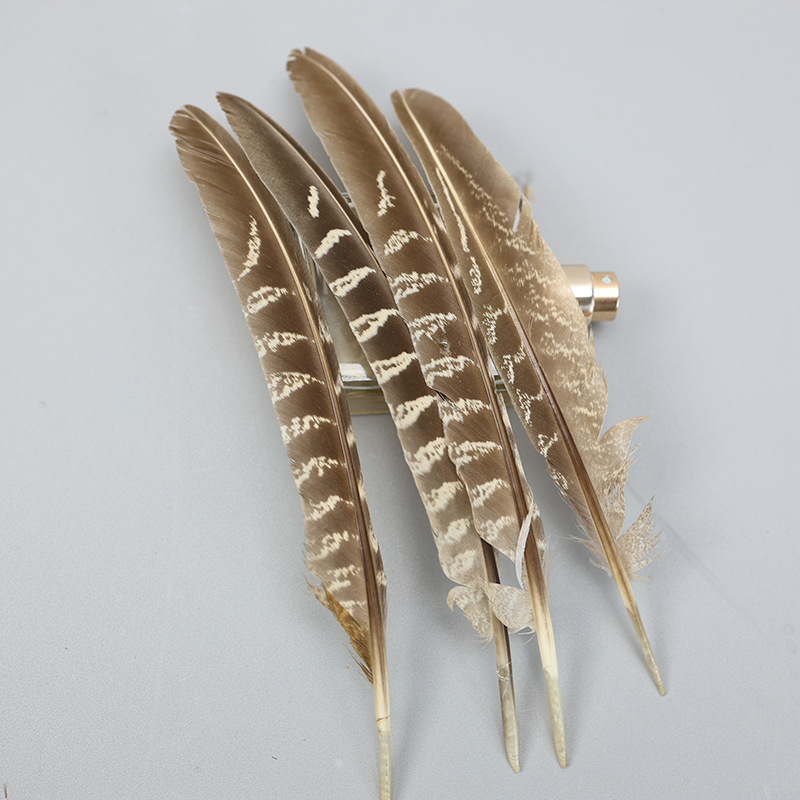 Plumas pequeñas al por mayor de plumas de faislo natural decorativas plumas artesanías bricolaje materiales hechos a mano divertidos accesorios de joyería de palo de gato