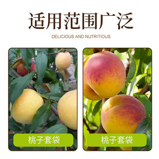 Peach Bagging Fruit Bagging Fruit Bagging Paper Bag Fruit Tree Bagging Citrus Single and Double Layer Navel Orange Bagging Fruit Bagging