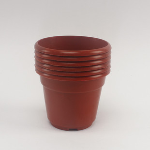 ���ϻ������l���˔[��12cm�廨����F؛���滨�Ӻ����϶��⻨����