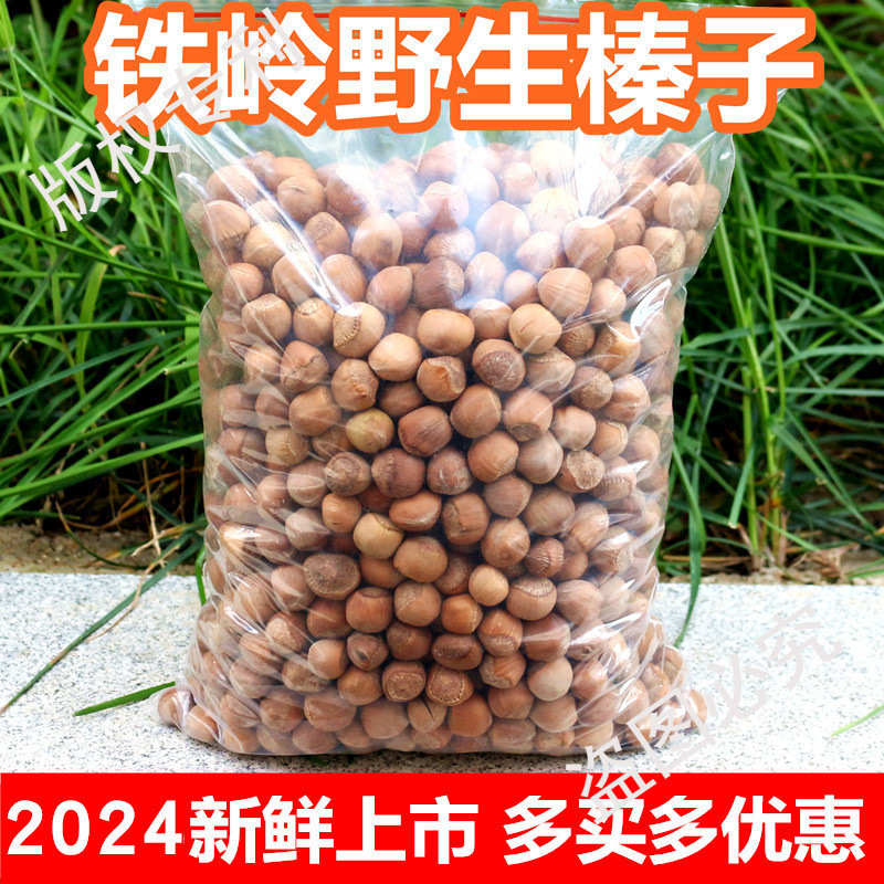Fresh Wild Small Hazelnuts from Tieling, Northeast China, 2024 Specialty Dried Nuts, Raw Hazelnuts in Bulk, Raw Hazelnuts Roasted