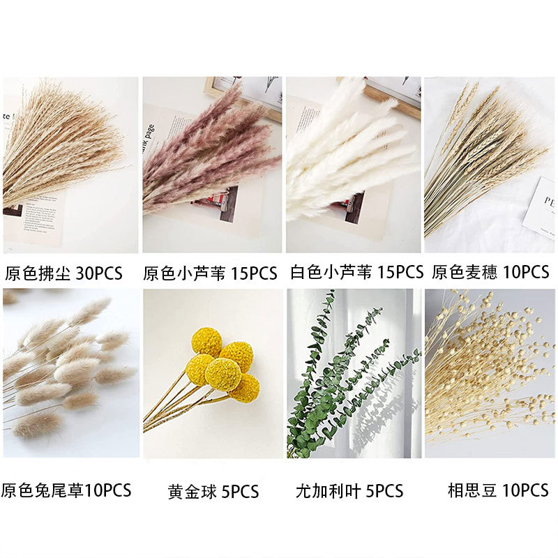 100개들이 상자 조합 4