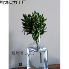 高品质佛手鲜切花支可做干花 顺丰包邮日常瓶插2024推荐花材