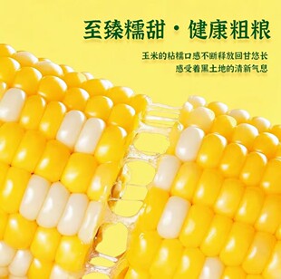 �����׻�Ŵ��������i�r�SŴճ���׾GɫʳƷ�J�C�ּZ�����������l