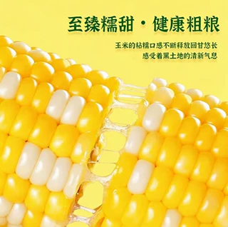 新玉米花糯玉米真空锁鲜黄糯粘玉米食品早餐玉米粗粮代餐批发包邮