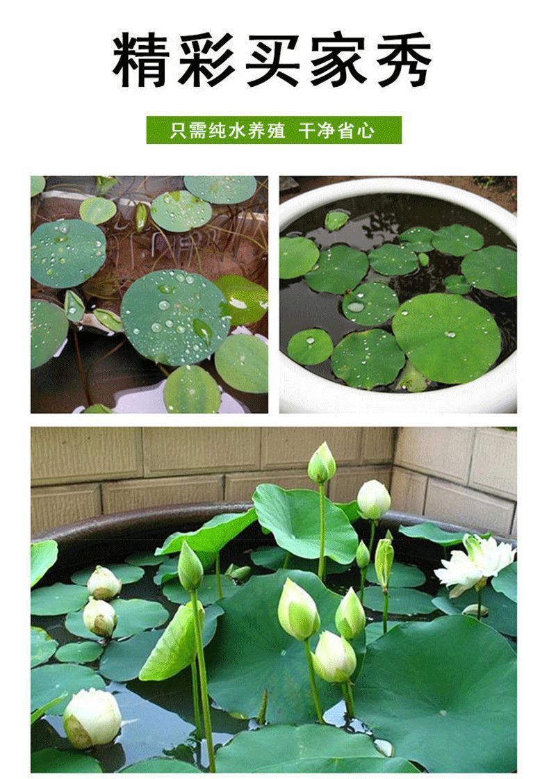 06a386b3-5332-41d7-9b5e-d10050d6869c.jpe