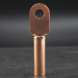 电缆铜鼻子铜线耳堵油铜接头铜端子铜接线端子DT-25B级标跨境批发