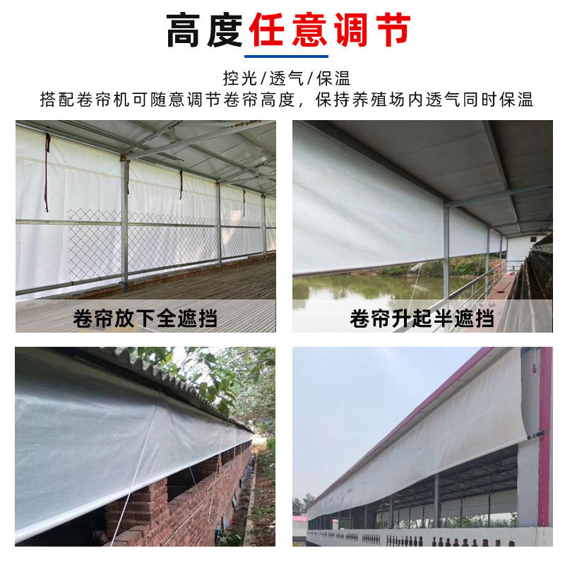 厚いpe幌布透明ロール生地防雨防水日焼け止め防塵日除け貨物場シートカバー布ビニール幌布工場|undefined