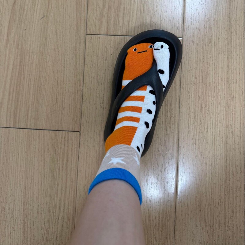 人字拖袜子女夏薄款分趾袜搞怪袜子女夏天二趾袜花园鳗袜子条纹袜|undefined