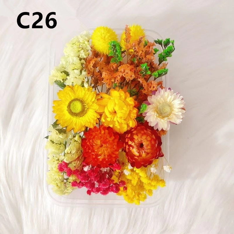 C26