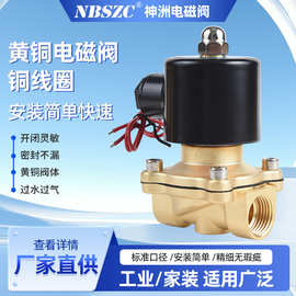 NBSZC厂家直供 神洲电磁阀 2W-15 4分 黄铜电磁阀