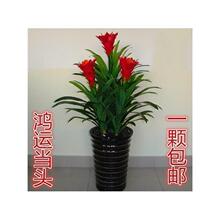 �t�\���^���辰�滨���Կ͏d��ȫ���ͺ��̓����m�϶��첻����N��