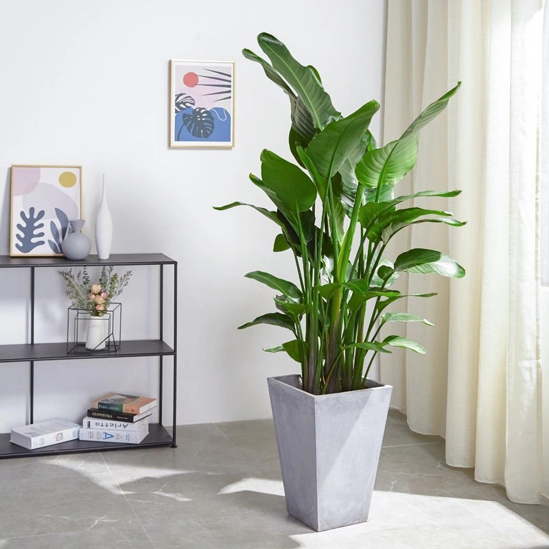 사다리꼴 시멘트 분지 포함