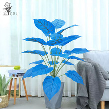 �������Gֲ�f���������ֲ����^�쾰��ˇƷ�Ҿӈ@���b[��