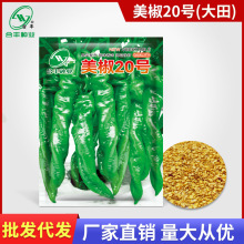 ������Nֲ������20̖/�s1000�� �ݽz���N�� �������Ѳ˽��N����