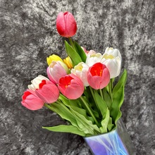 ���滨PU�������ָб��� �ٻ���֦�����zӰ���ջ�ˇ������������